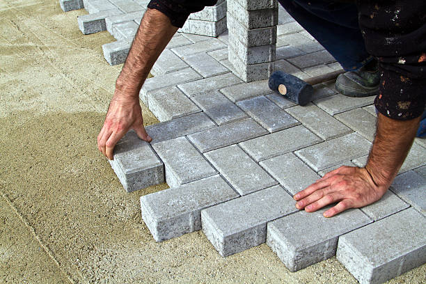 Best Driveway Paving Contractor  in Shannon, MS