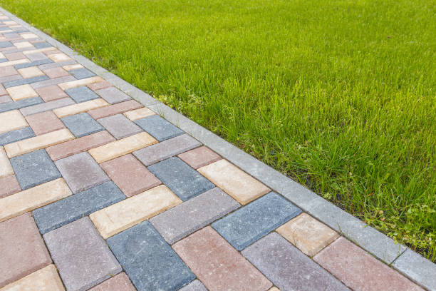 Best Decorative Driveway Pavers  in Shannon, MS